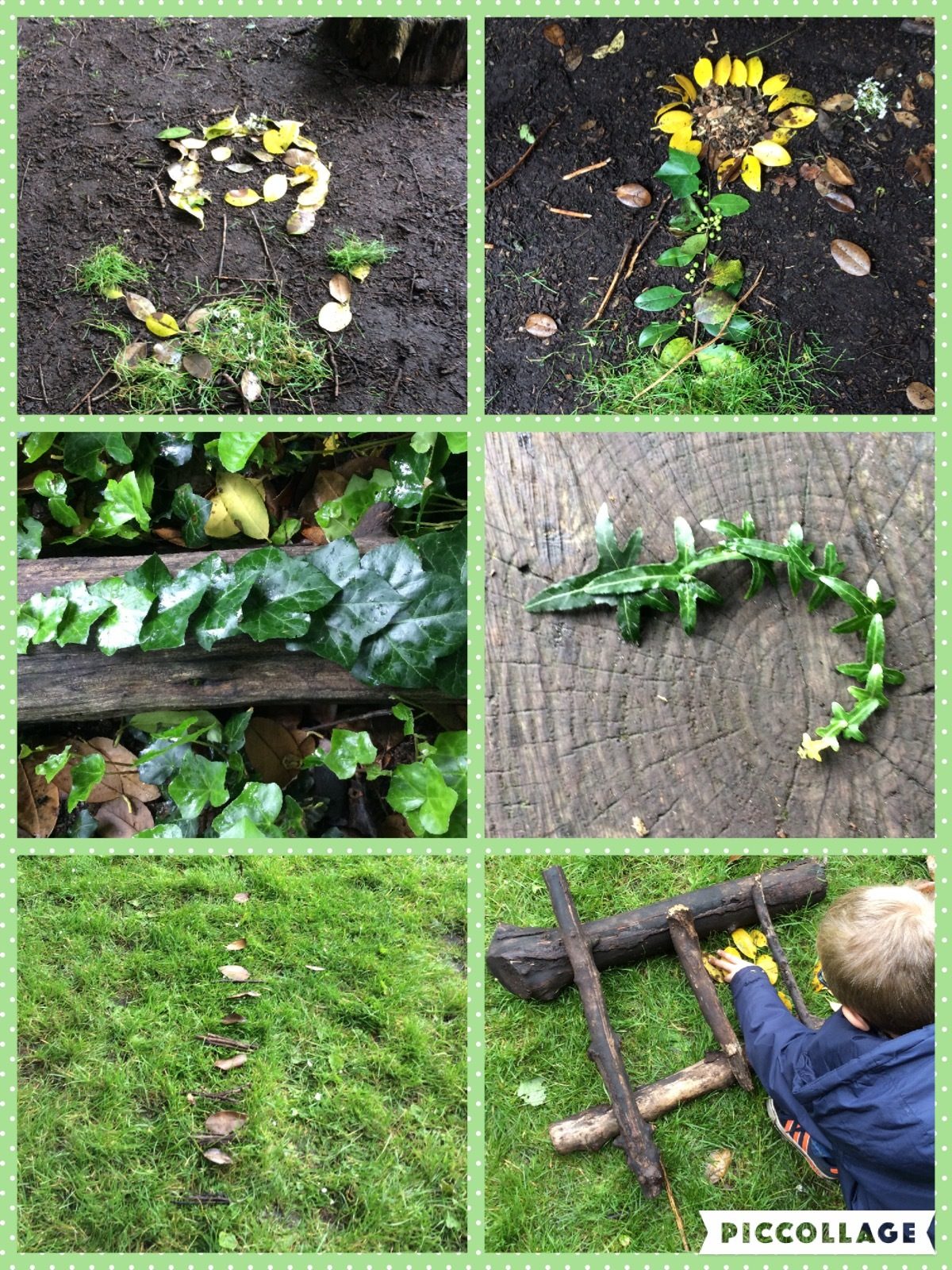 Terrestrial plant, Flower, Green, Leaf, Organism, Grass, Bow, Font, Rectangle