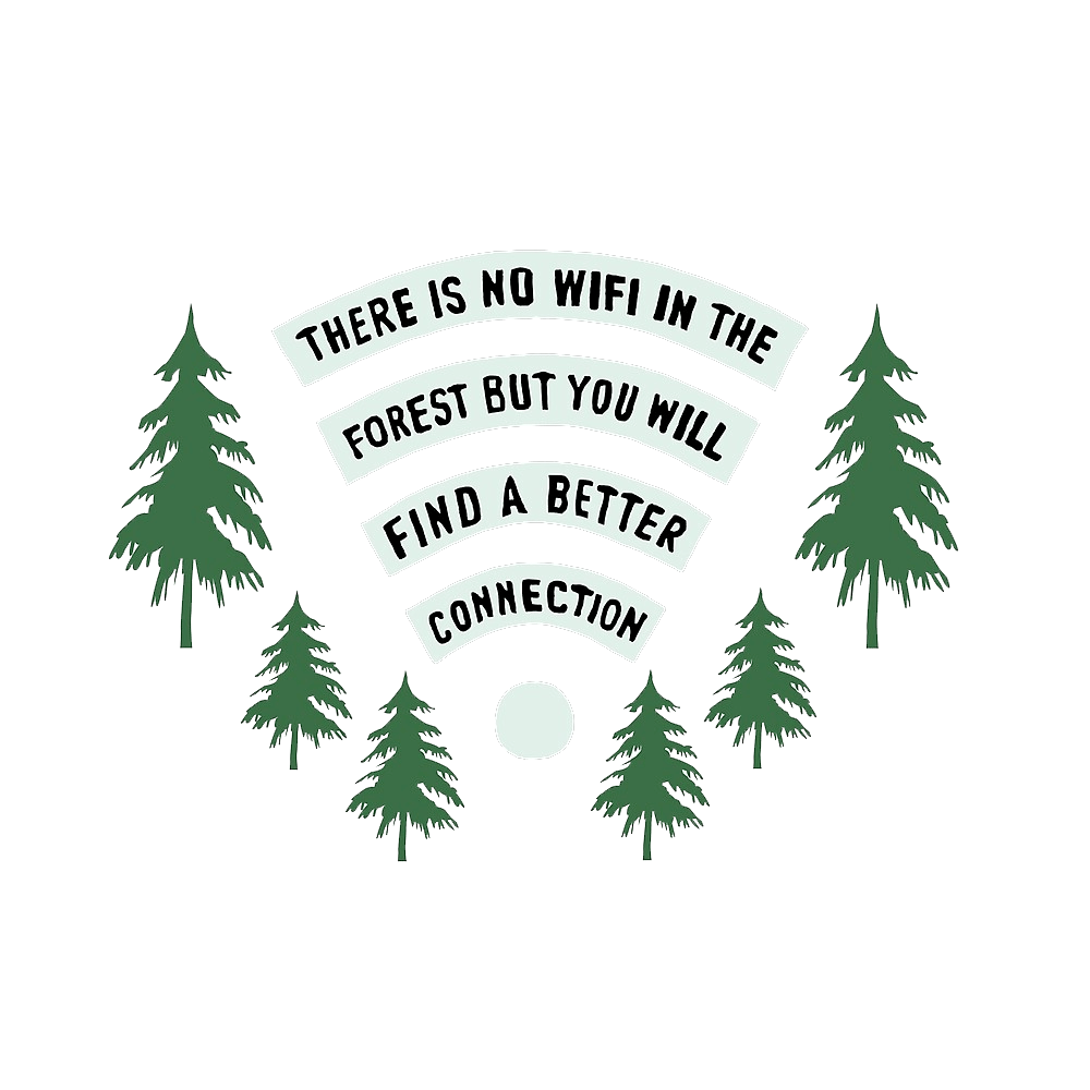 Terrestrial plant, Font, Evergreen