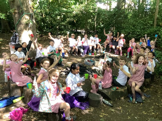 Plant, Tree, Leisure, Grass