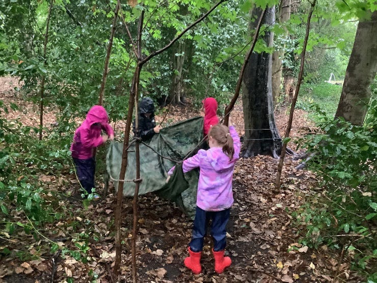 People in nature, Natural landscape, Terrestrial plant, Trousers, Tree, Grass