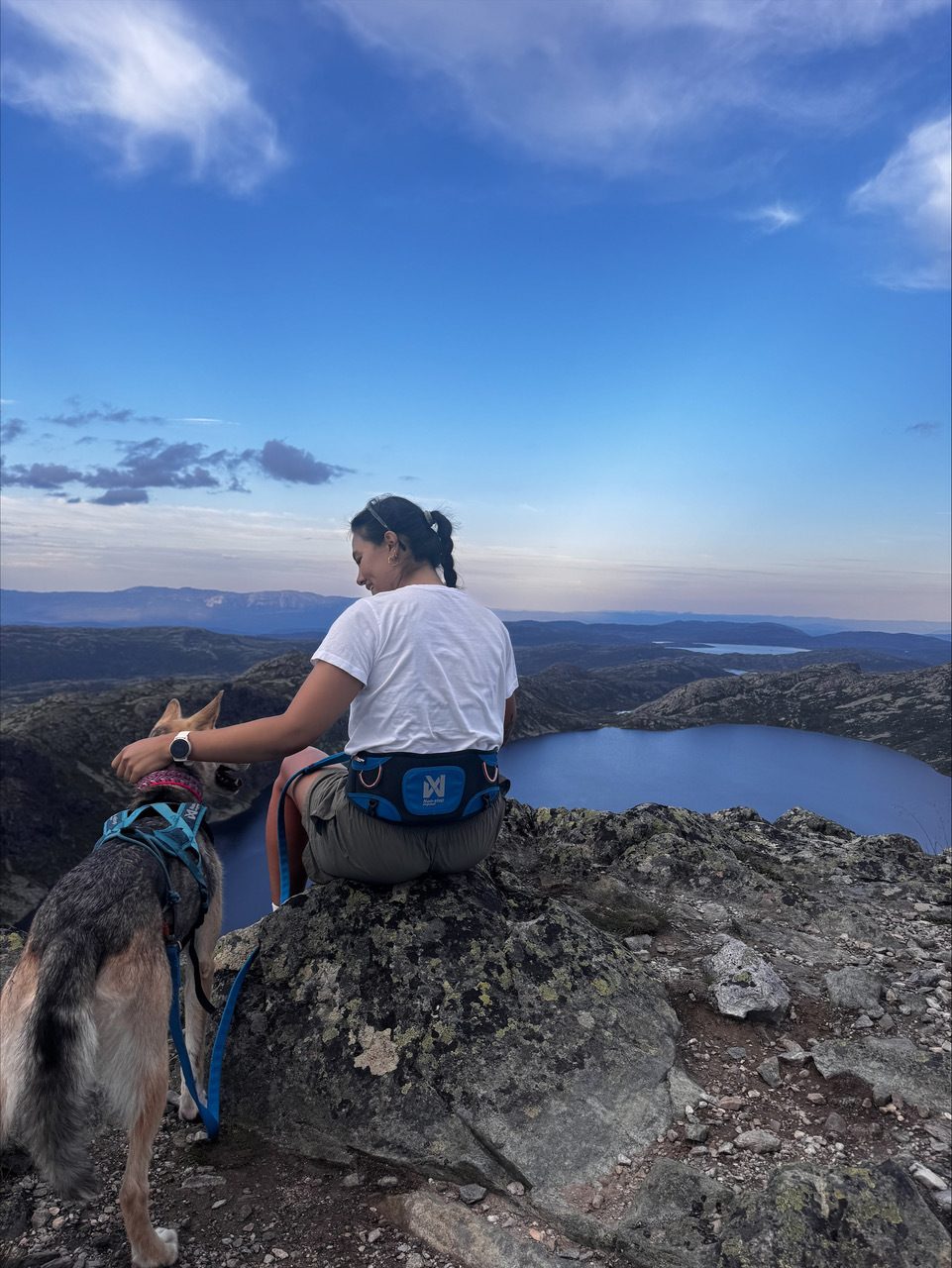 A person pets a dog on a rocky mountain, overlooking lakes under a blue sky.