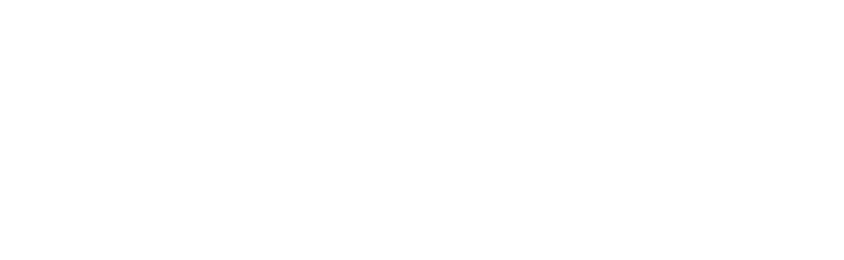Norges Bank Investment Management logo, green with a stylized 'N' and white text.