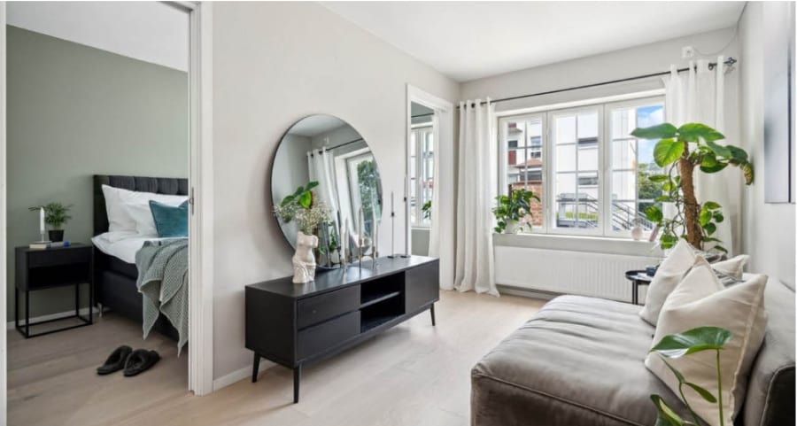 Furniture, Plant, Green, Houseplant, Comfort, Flowerpot, Window, Flooring, Floor, Building