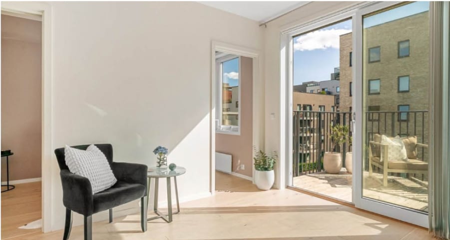 Picture frame, Plant, Building, Window, Houseplant, Wood, Flowerpot, Comfort, Floor, Condominium