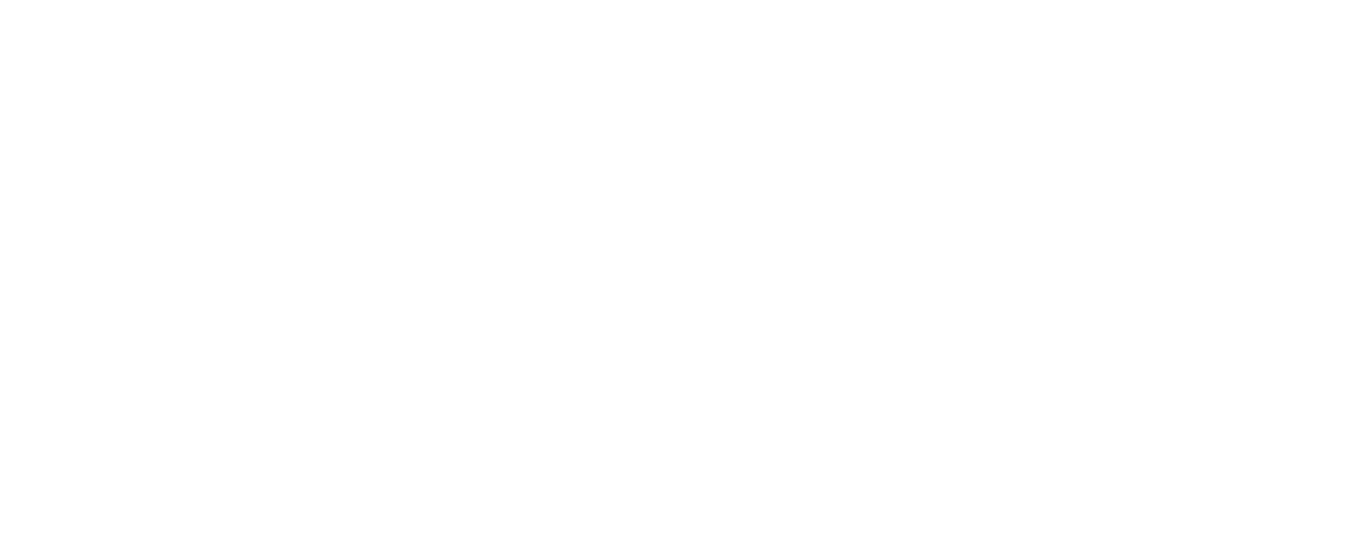 Norges Bank logo: stylized white 'N' symbol and "Norges Bank" text on a green background.