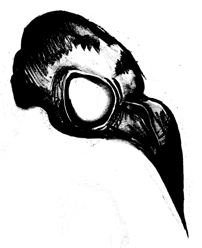 Beak