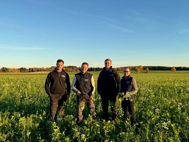 Four people stand in a sunny green field with blooming plants and a distant treeline.