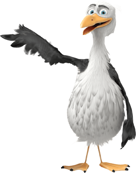 Ducks, geese and swans, Bird, Beak, Waterfowl
