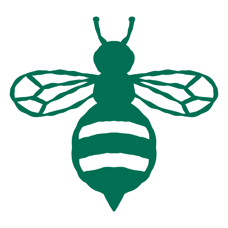A simple teal illustration of a bee with two stripes on its abdomen and detailed wings.