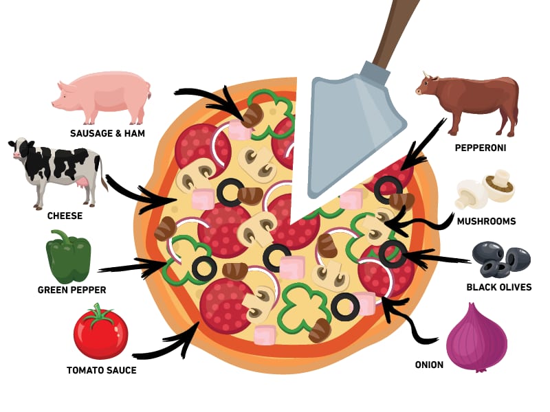 An illustrated pizza with arrows pointing to its ingredients and their animal/plant origins.