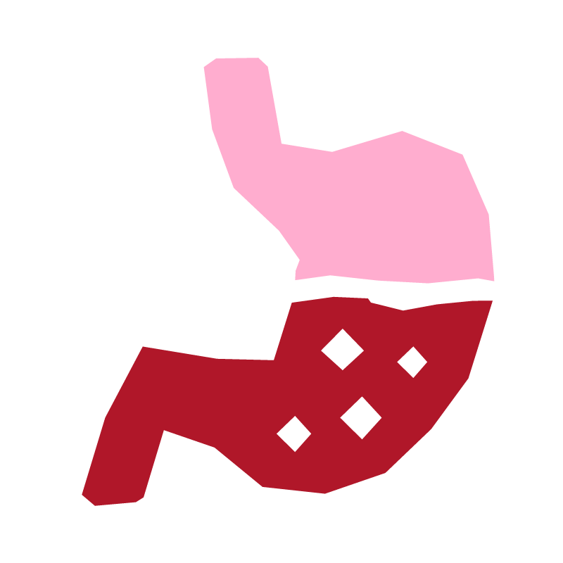 Red and Pink Digestive System Icon