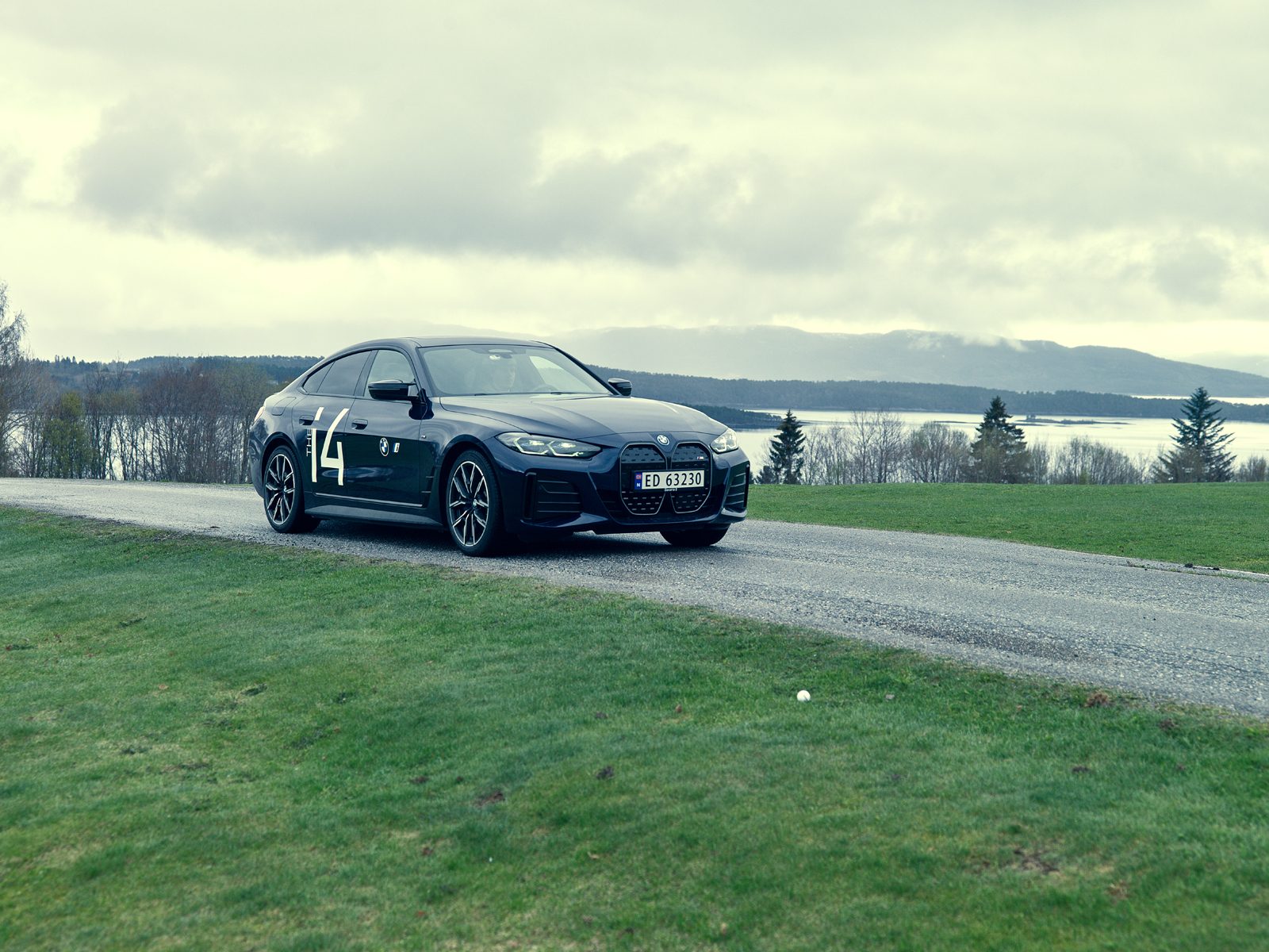 Automotive tire, Wheel, Sky, Cloud, Car, Vehicle, Hood, Plant