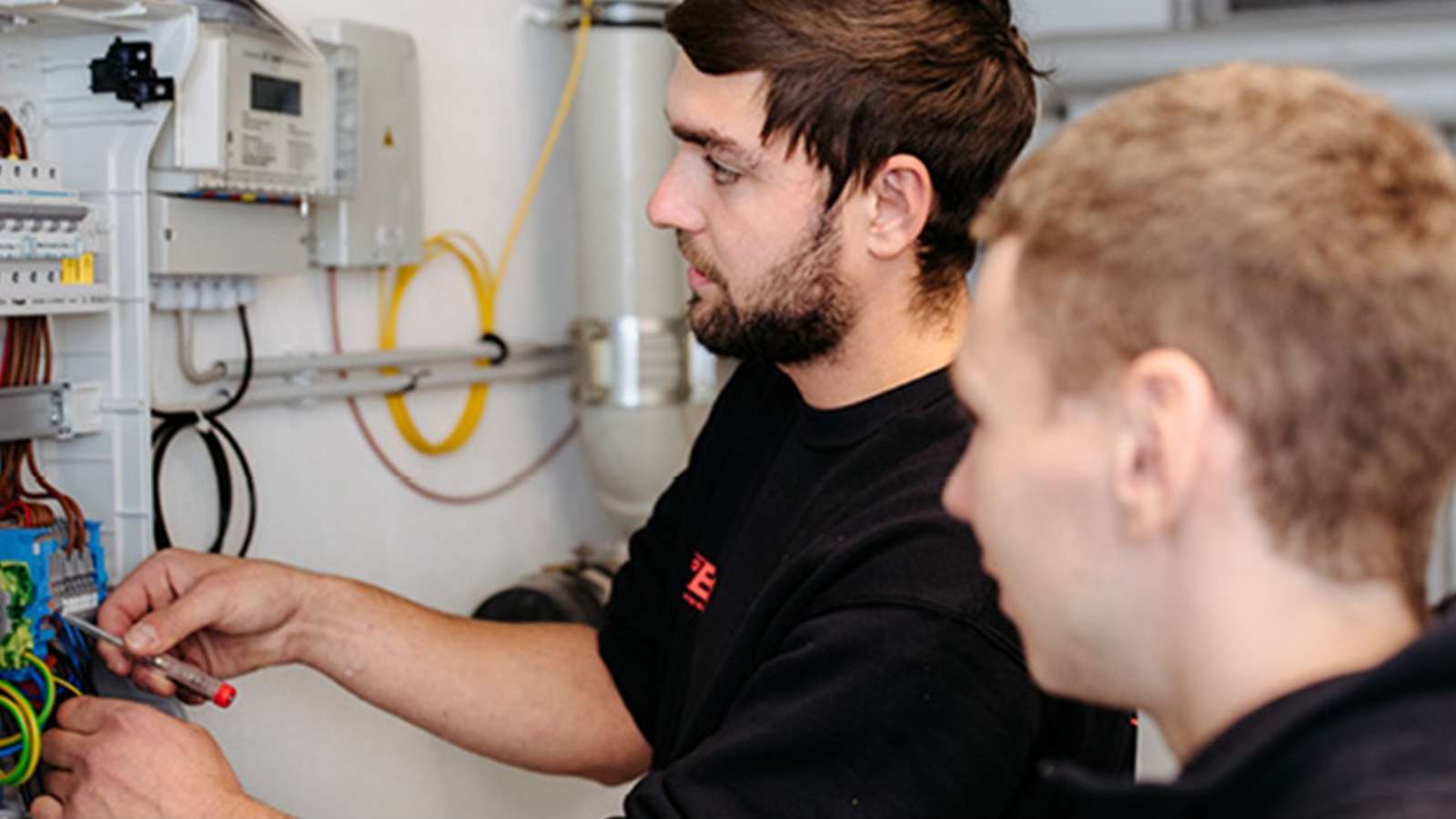 Electrical contractor, Electrician