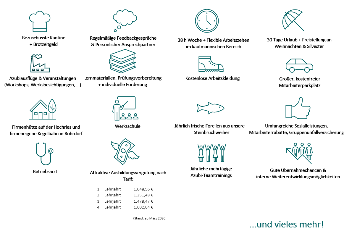 German infographic: Employee benefits, apprenticeship salaries, and company perks with icons.