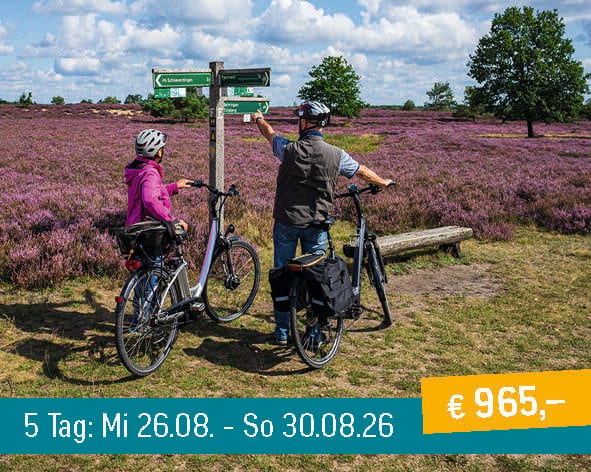 Two cyclists with bikes and helmets consult a signpost in a vast purple heather field under a blue sky.