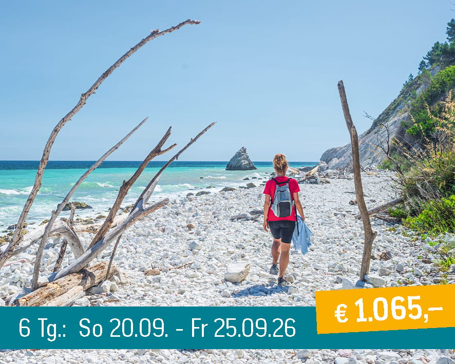 A person with a backpack walks on a rocky beach with turquoise water and driftwood under a clear sky.