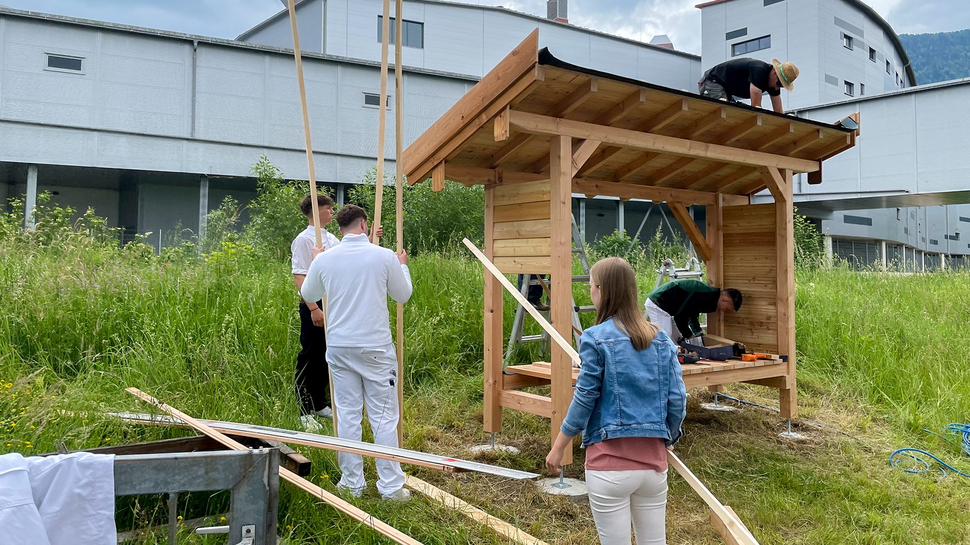 People constructing a wooden shelter in a grassy field with a large building in the background.
