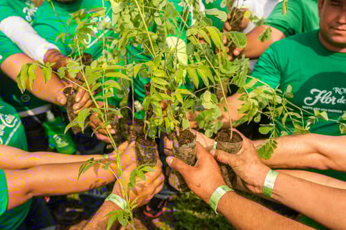People in nature, Hand, Plant, Green, Leaf, Shorts, Organism, Gesture, Grass, Finger