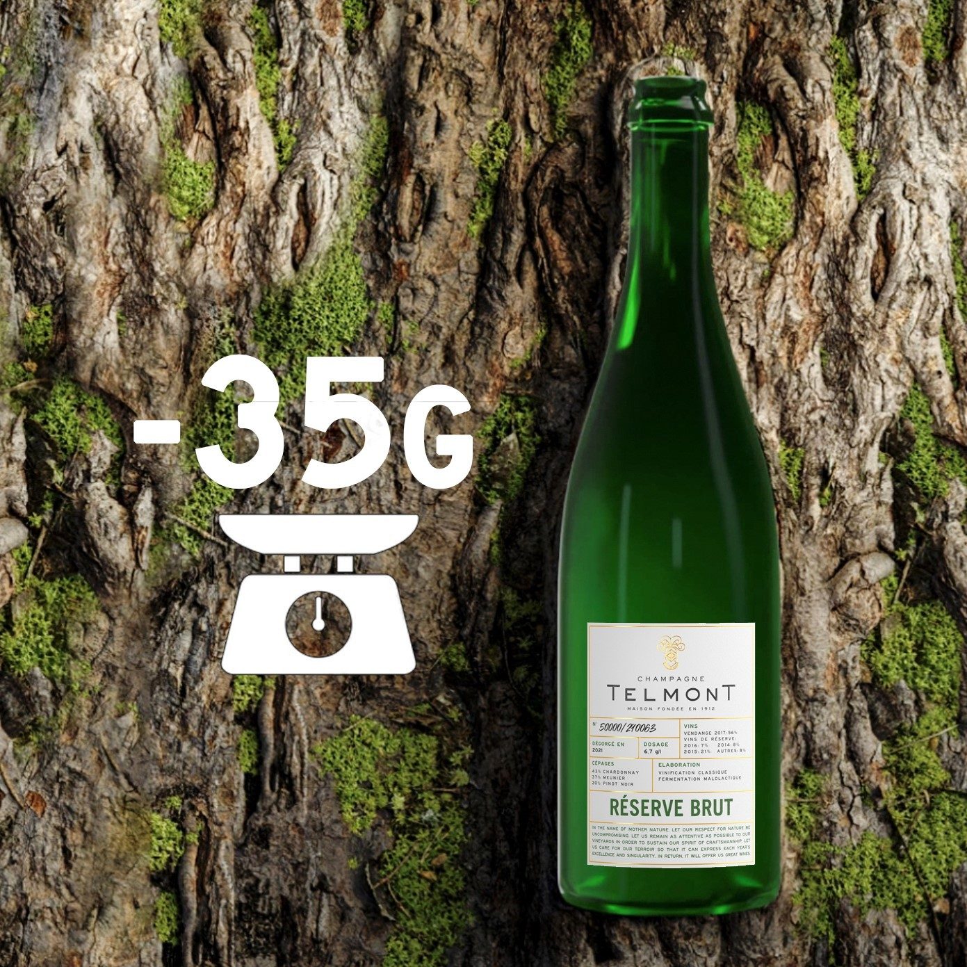 Glass bottle, Alcoholic beverage, Plant, Drink, Trunk