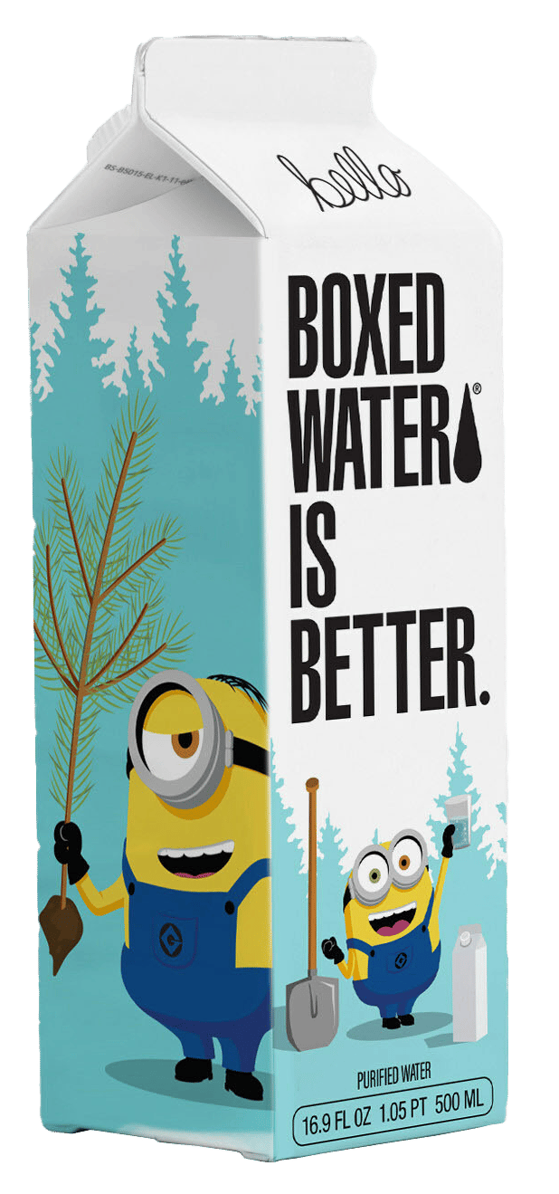 Plant, Vertebrate, Green, Tree, Font