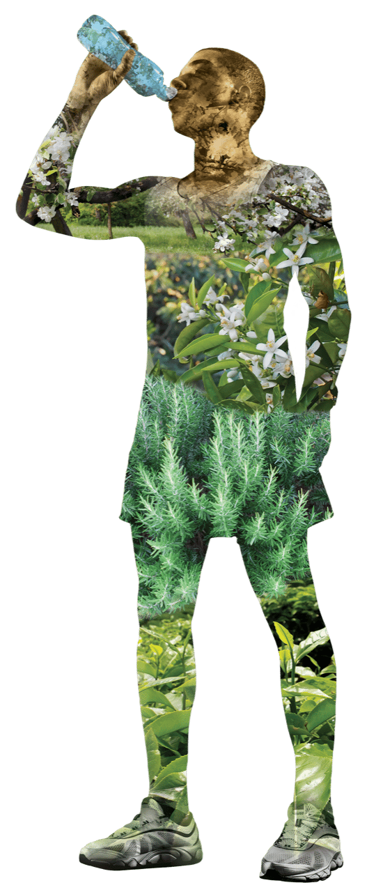 Military camouflage, Leaf vegetable, Terrestrial plant, Sleeve, Gesture, Font