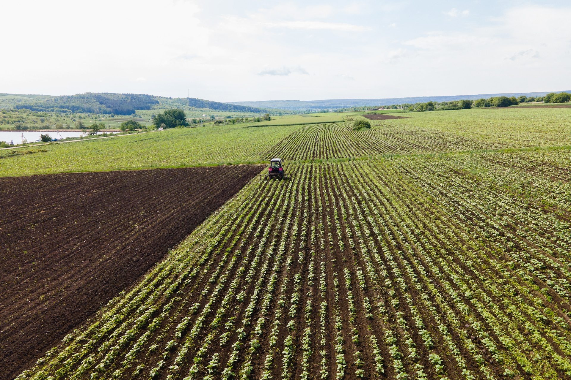 Aerial view of a farm field with a tractor cultivating green crops and adjacent tilled soil.