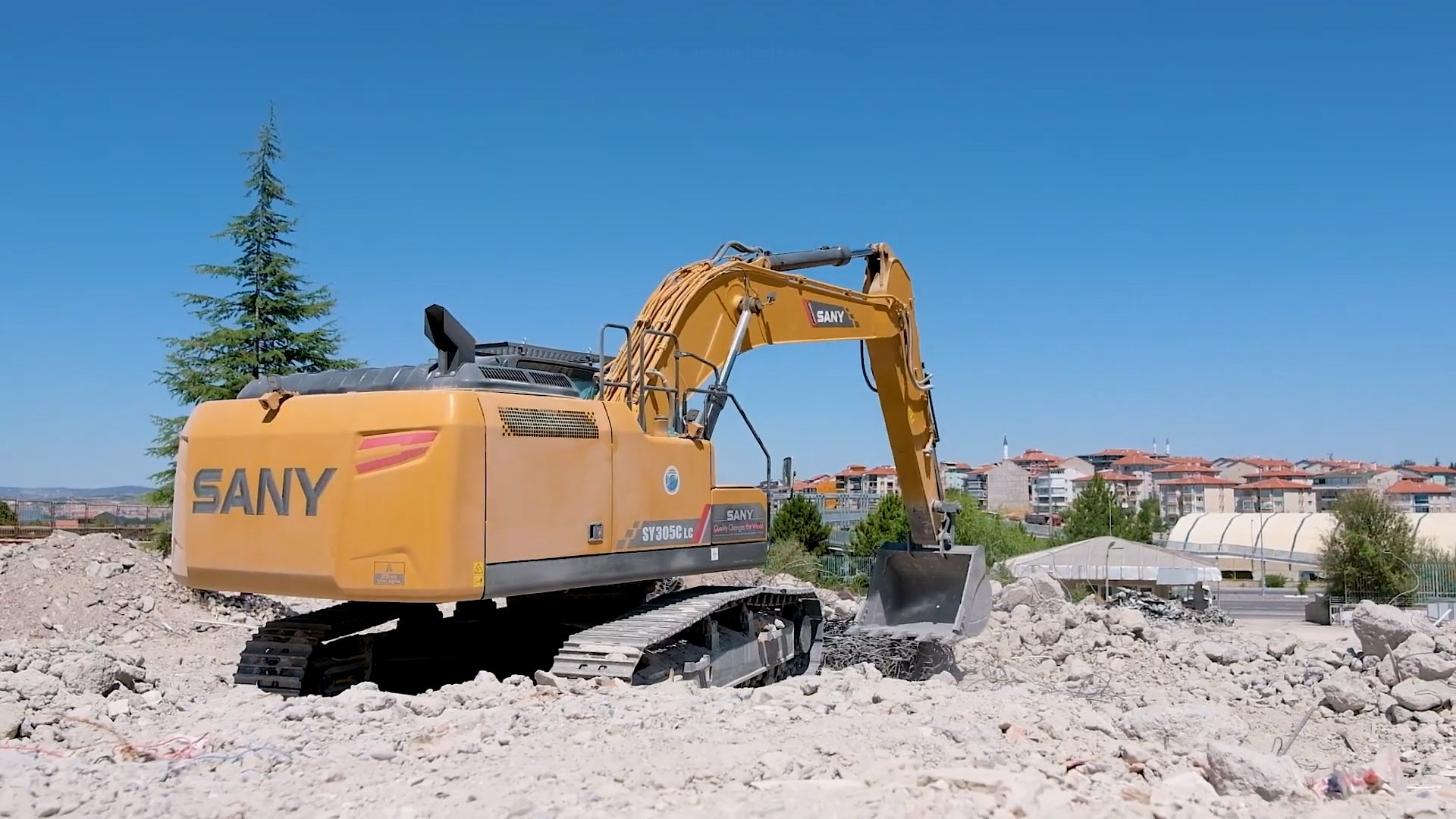 Road surface, Sky, Vehicle, Plant, Tree, Asphalt, Wood