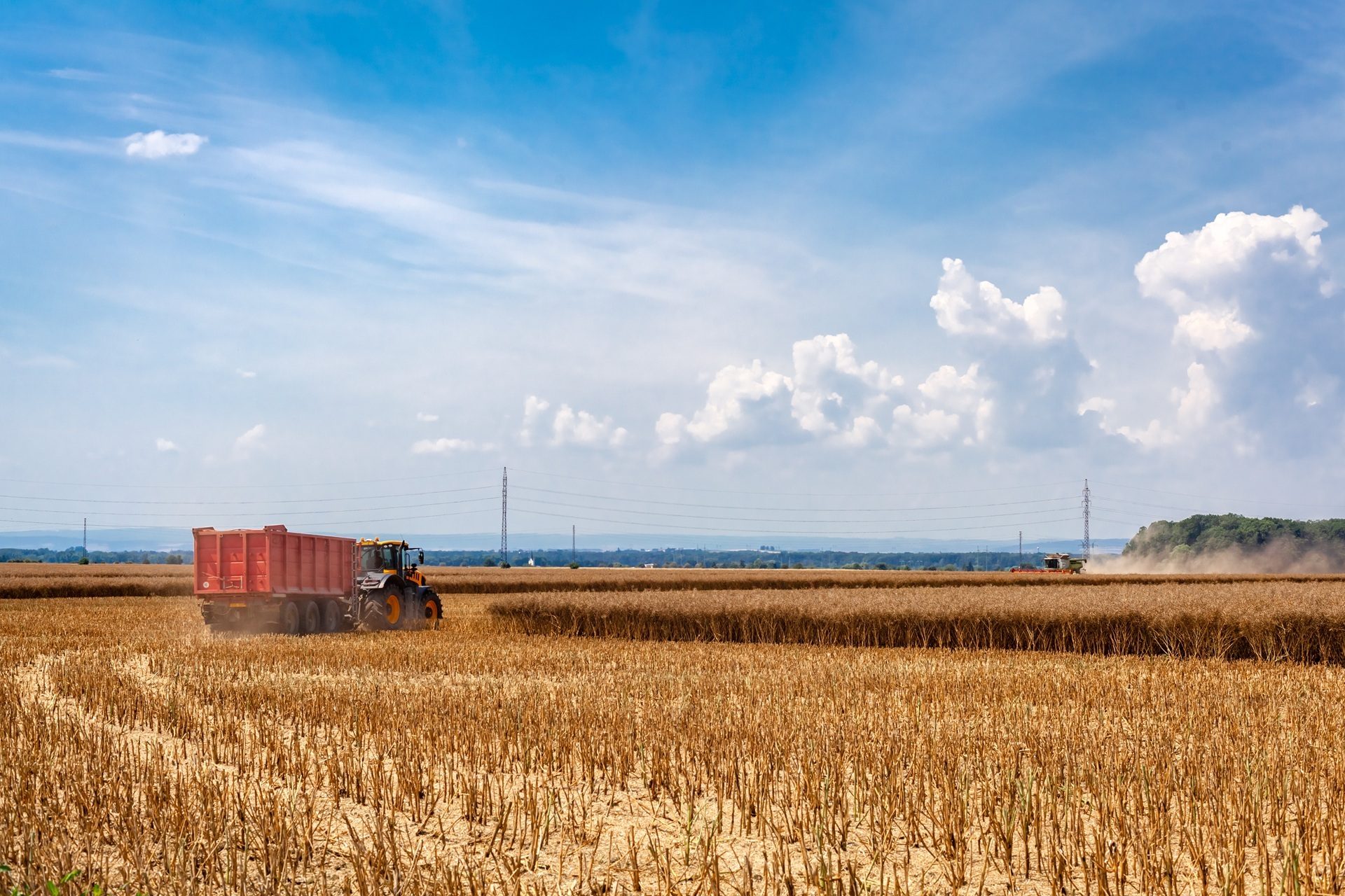 Tractor with trailer and combine harvesting golden crops in a vast field under a blue, cloudy sky.