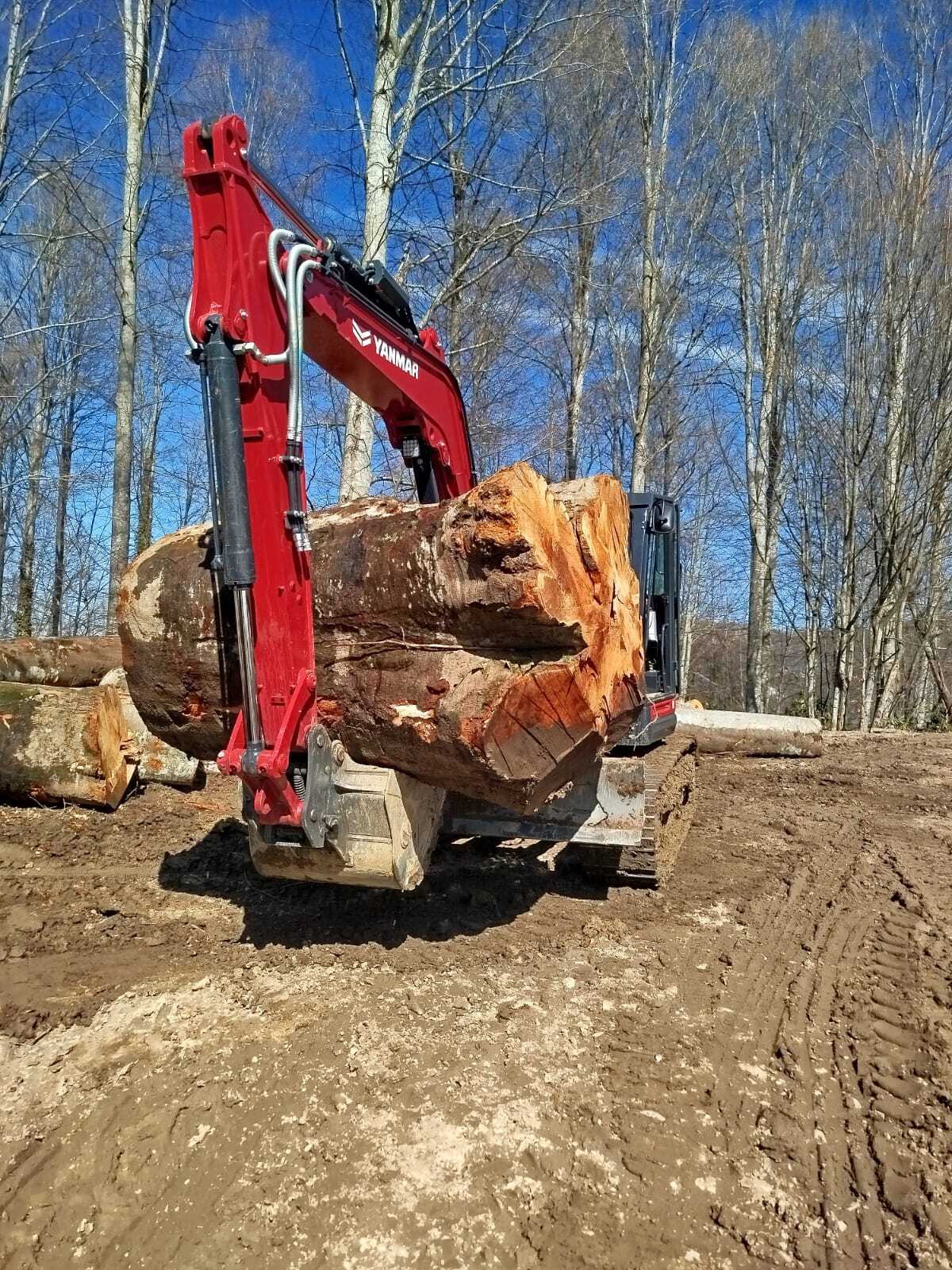 Red excavator lifting a large log on muddy ground.
