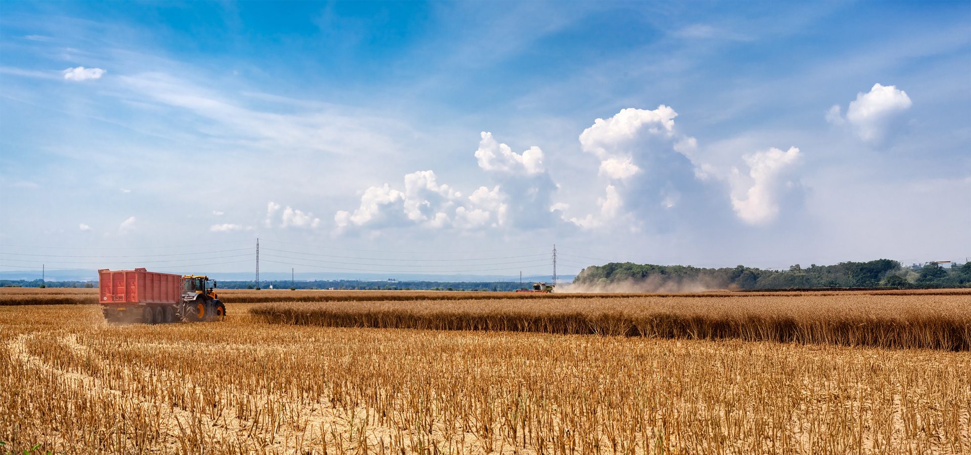 Tractors harvesting a golden wheat field under a blue sky with clouds.