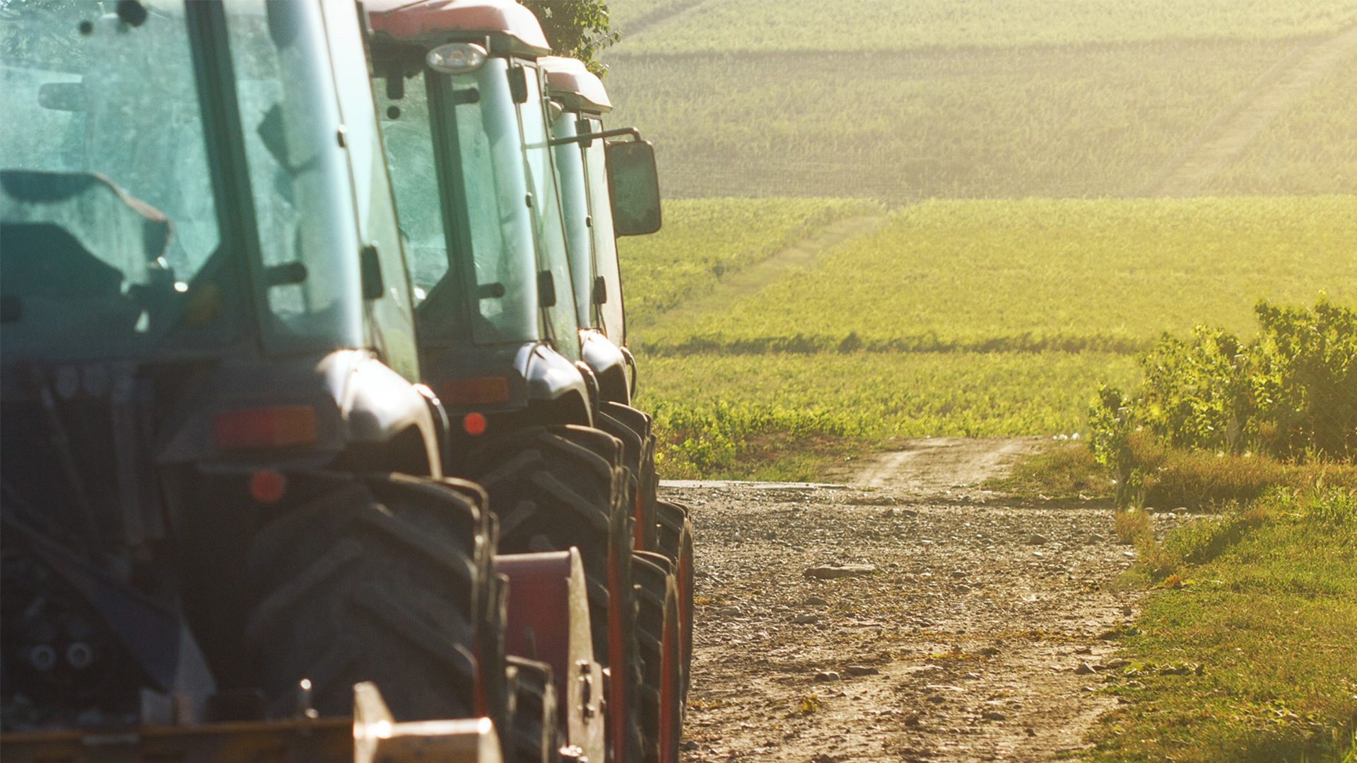 Mode of transport, Land vehicle, Agricultural machinery, Automotive Tire, Rural area, Tractor, Wheel, Agriculture, Field, Plain