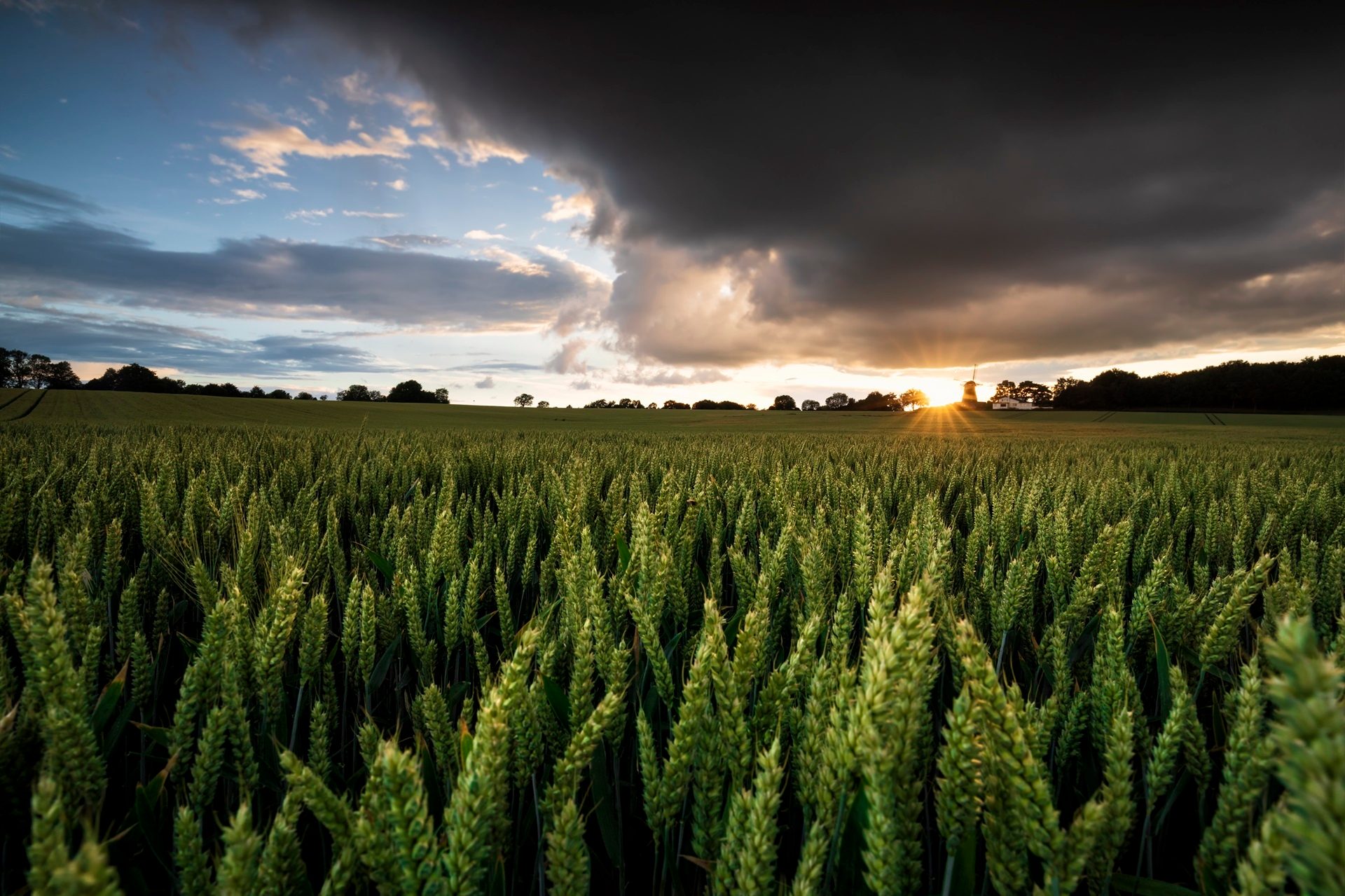 People in nature, Natural landscape, Cloud, Plant, Sky, Sunlight, Agriculture, Grass, Horizon
