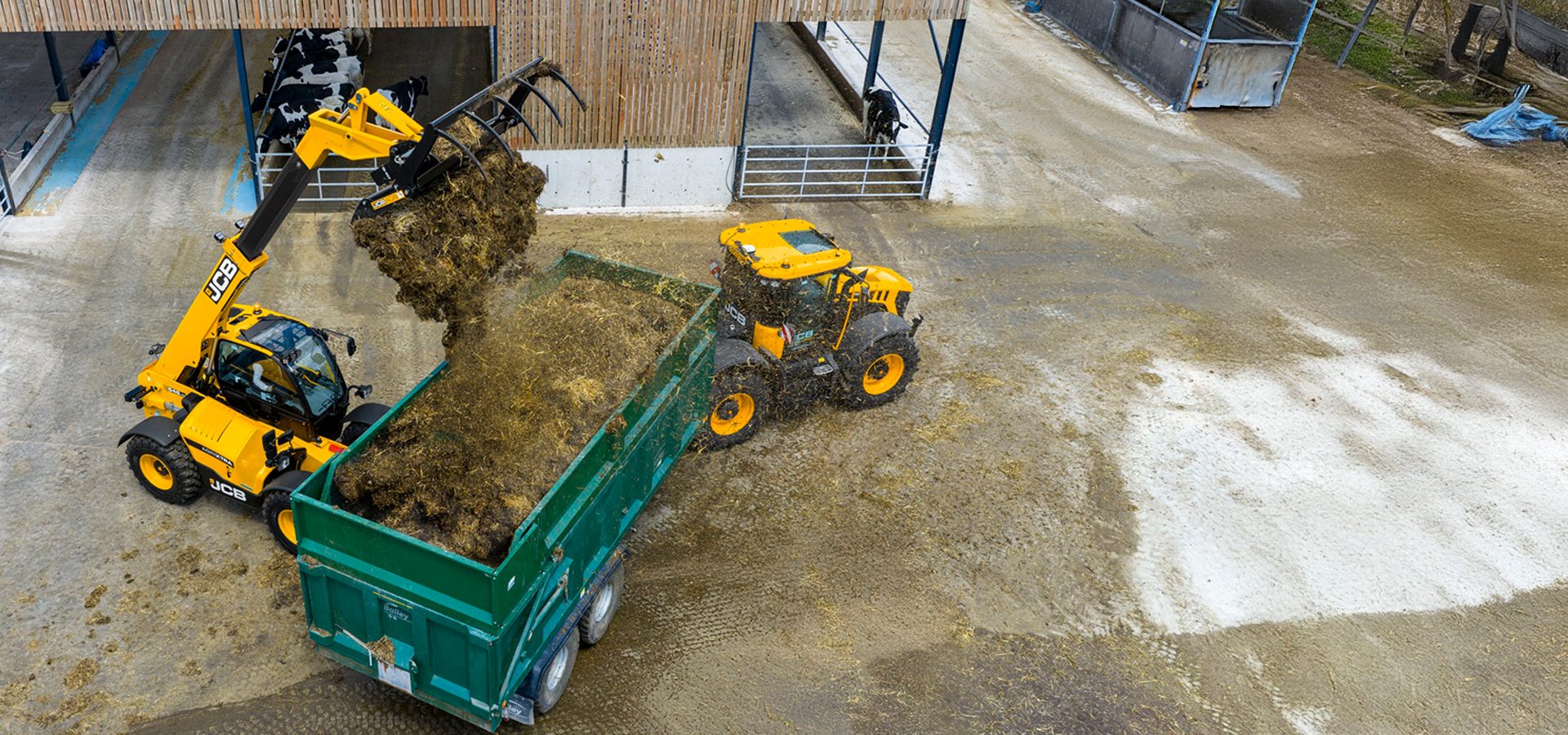 A yellow JCB telehandler loads manure into a green trailer on a farm.
