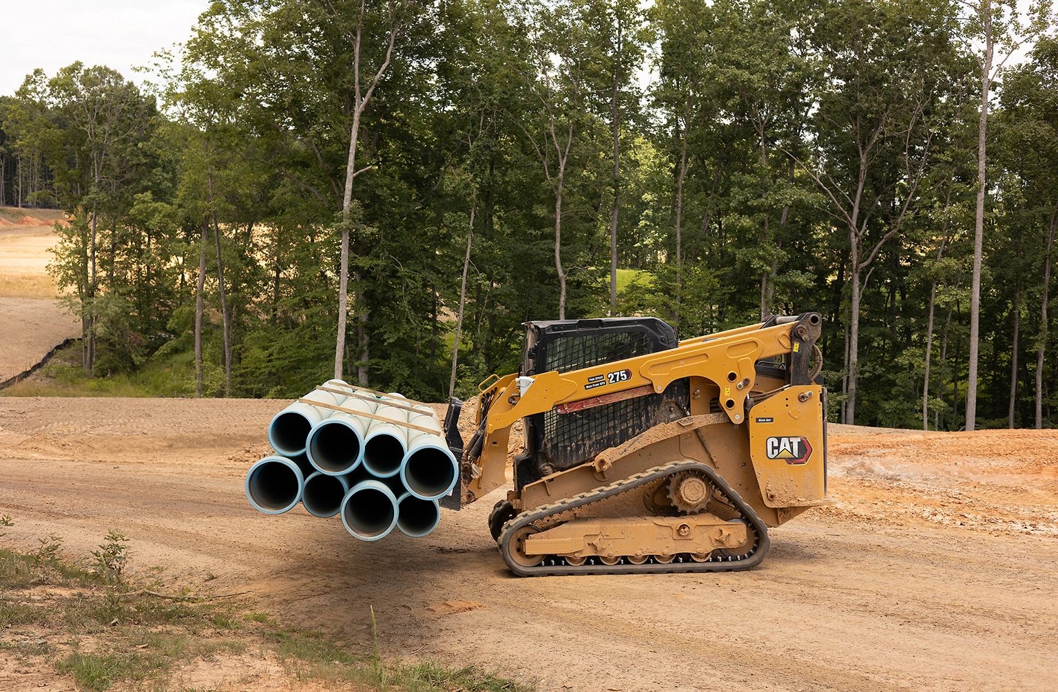 Automotive tire, Motor vehicle, Plant, Tree, Tread, Rolling