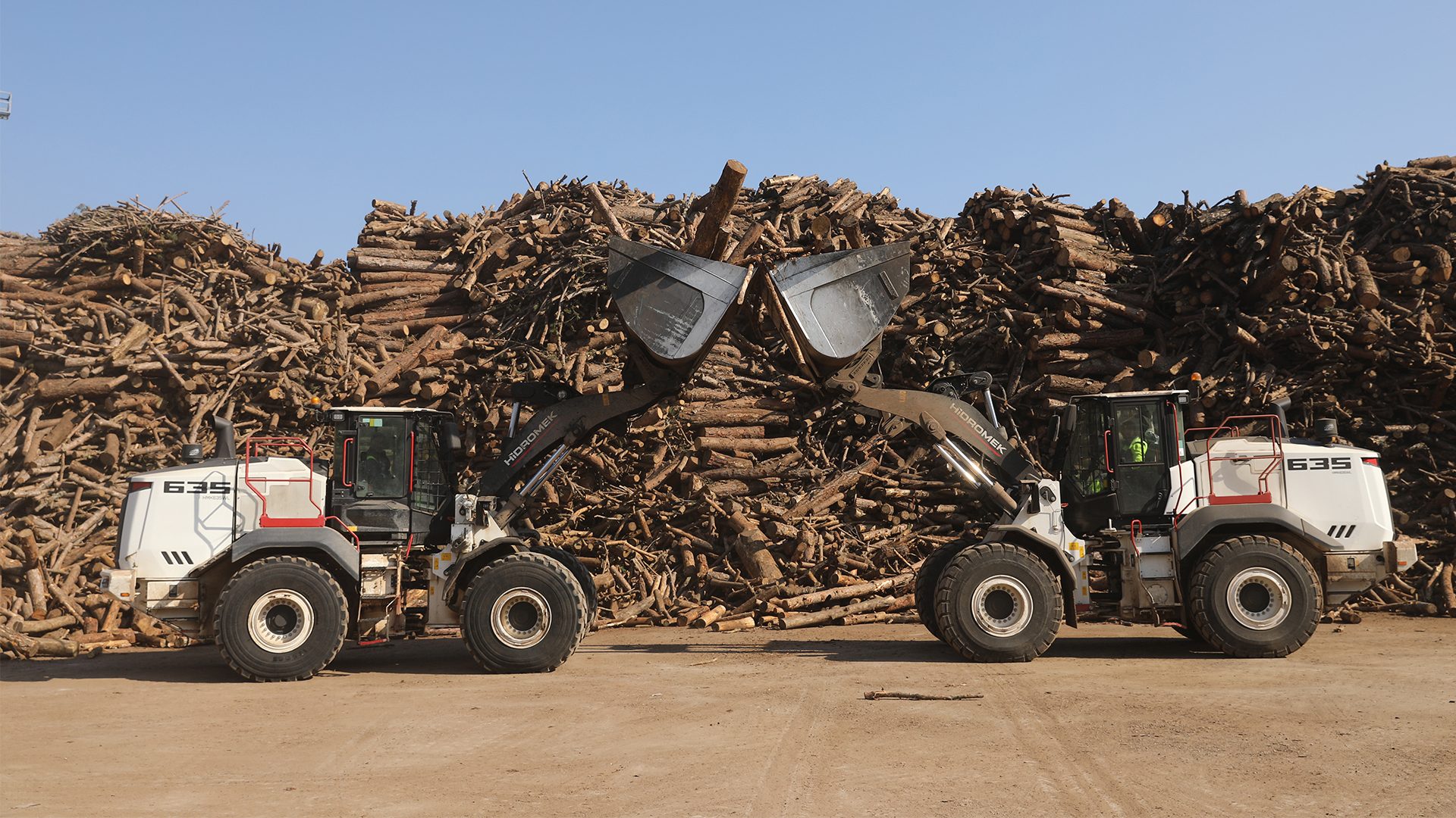 Two white wheel loaders with raised buckets, facing, against large log piles.