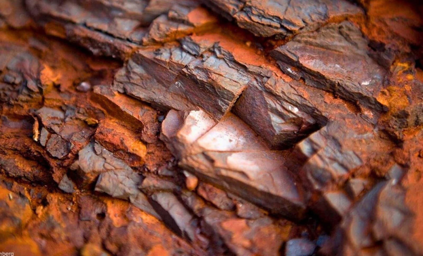 Wood, Brown, Close-up, Orange, Geology, Trunk