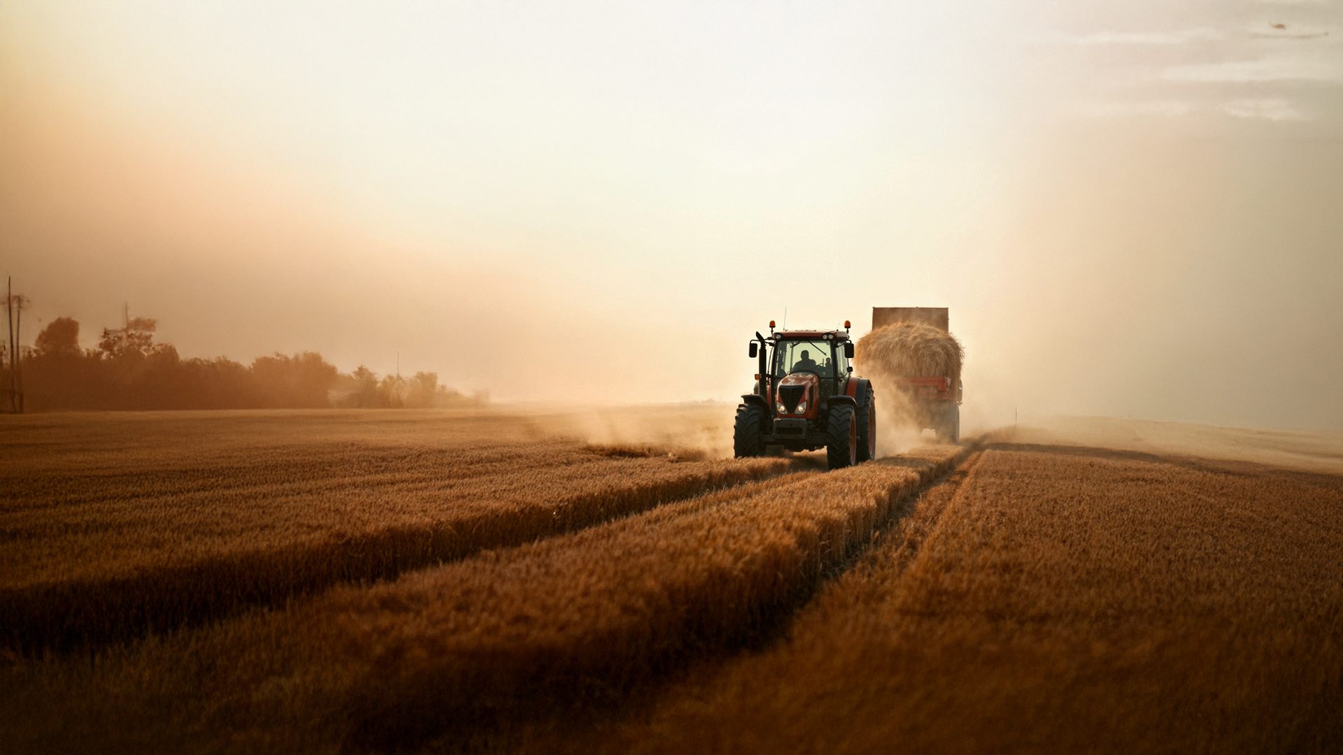 A tractor pulls a hay-filled trailer through a golden field at sunset, kicking up dust.