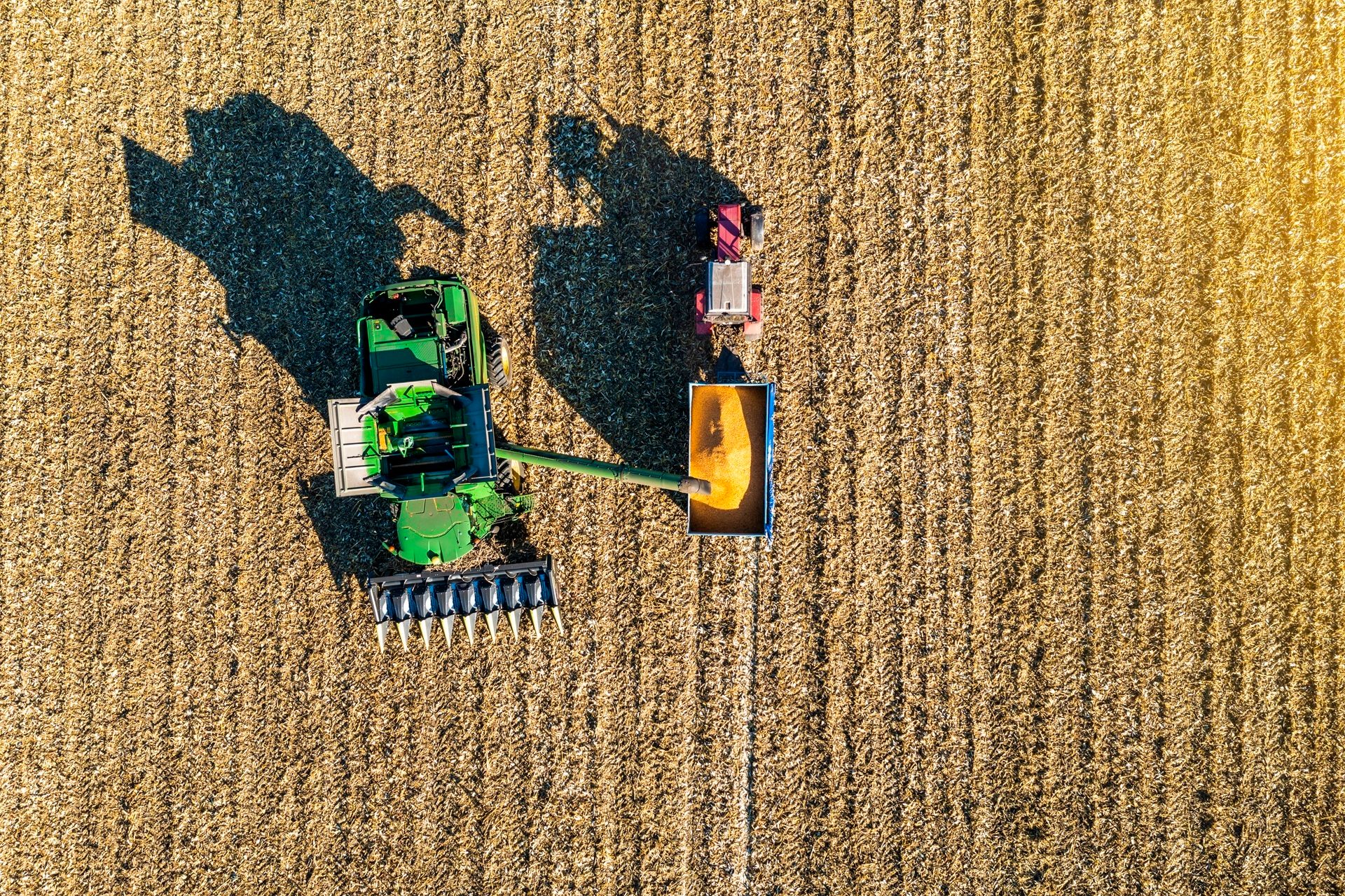 Aerial view of a combine harvester unloading corn into a trailer pulled by a tractor in a field.
