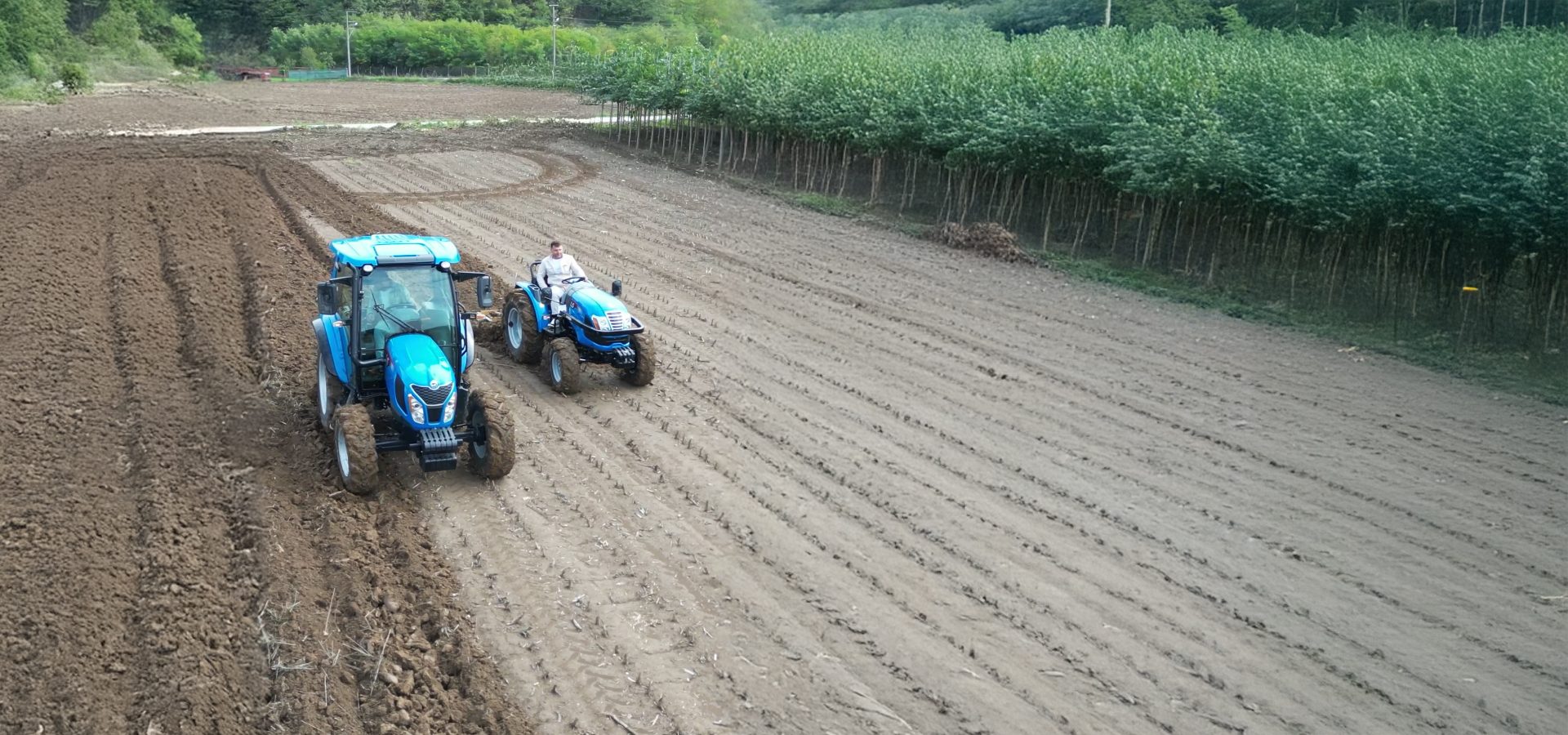 Two blue tractors working a field, one plowing, next to a line of trees.