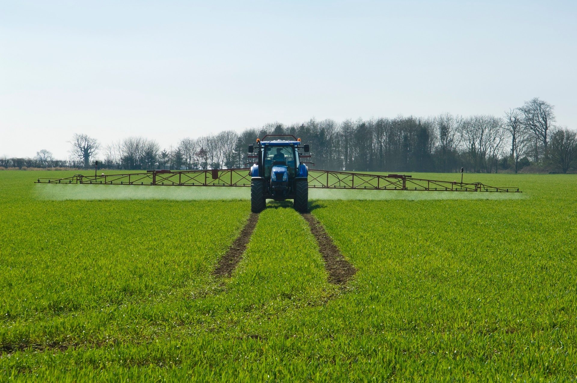 Blue tractor spraying a green field, leaving tire tracks, with distant trees and clear sky.