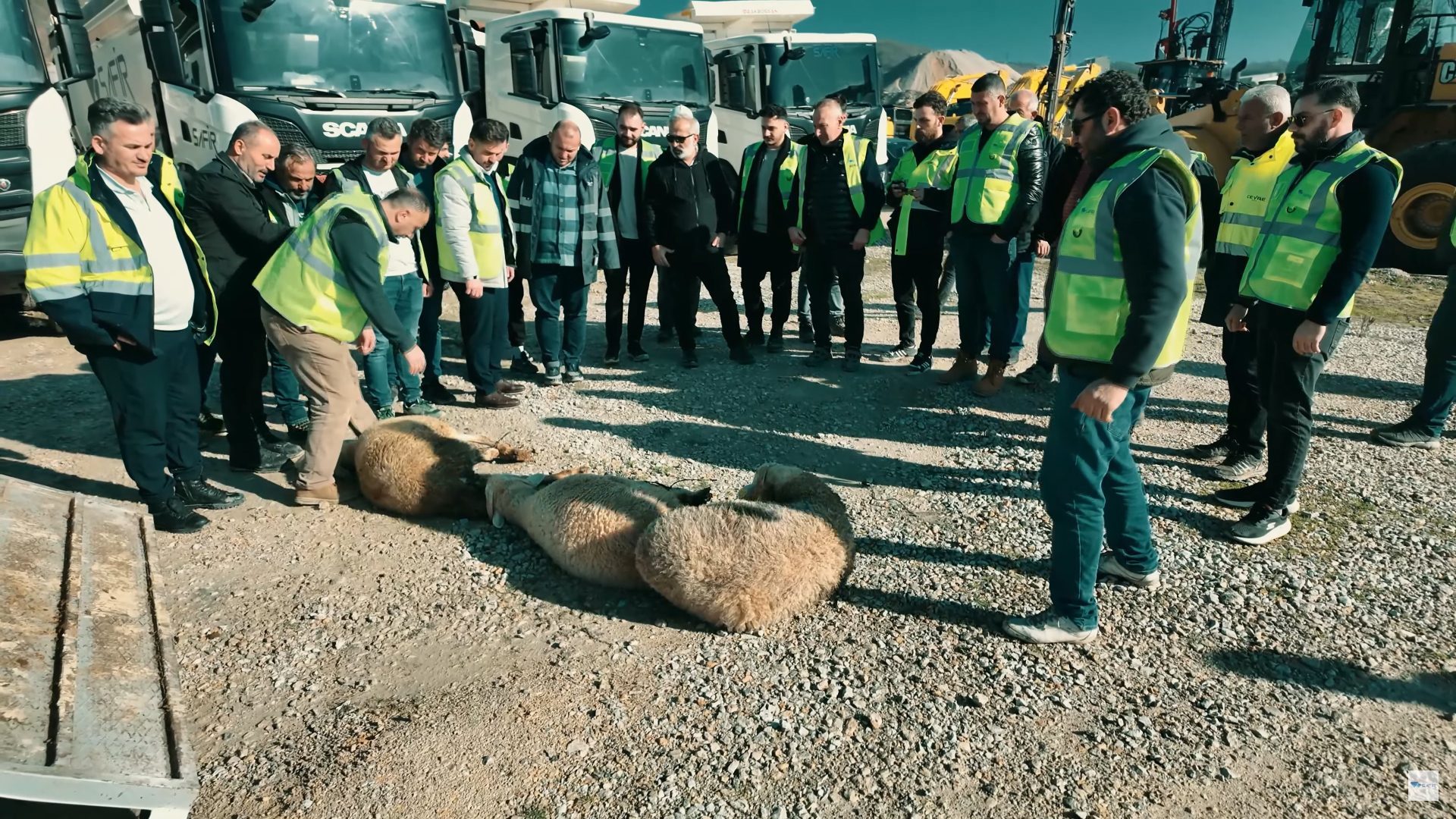 High-visibility clothing, Jacket, Workwear