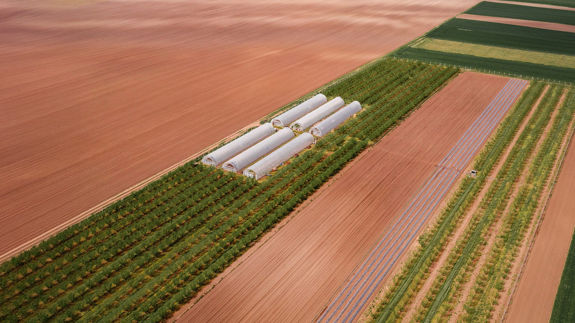 Aerial view of agricultural fields with greenhouses and various crop rows.