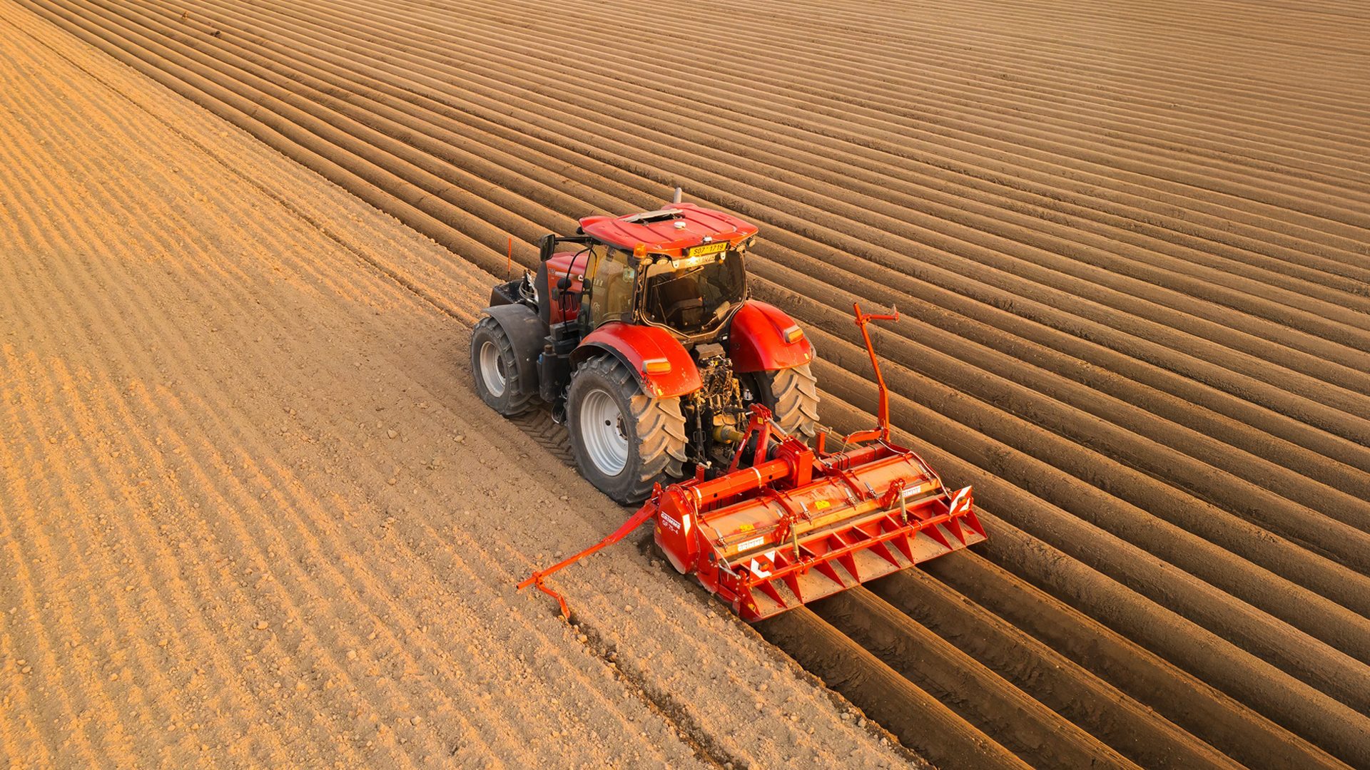 Red tractor with an implement creating parallel furrows in a field.