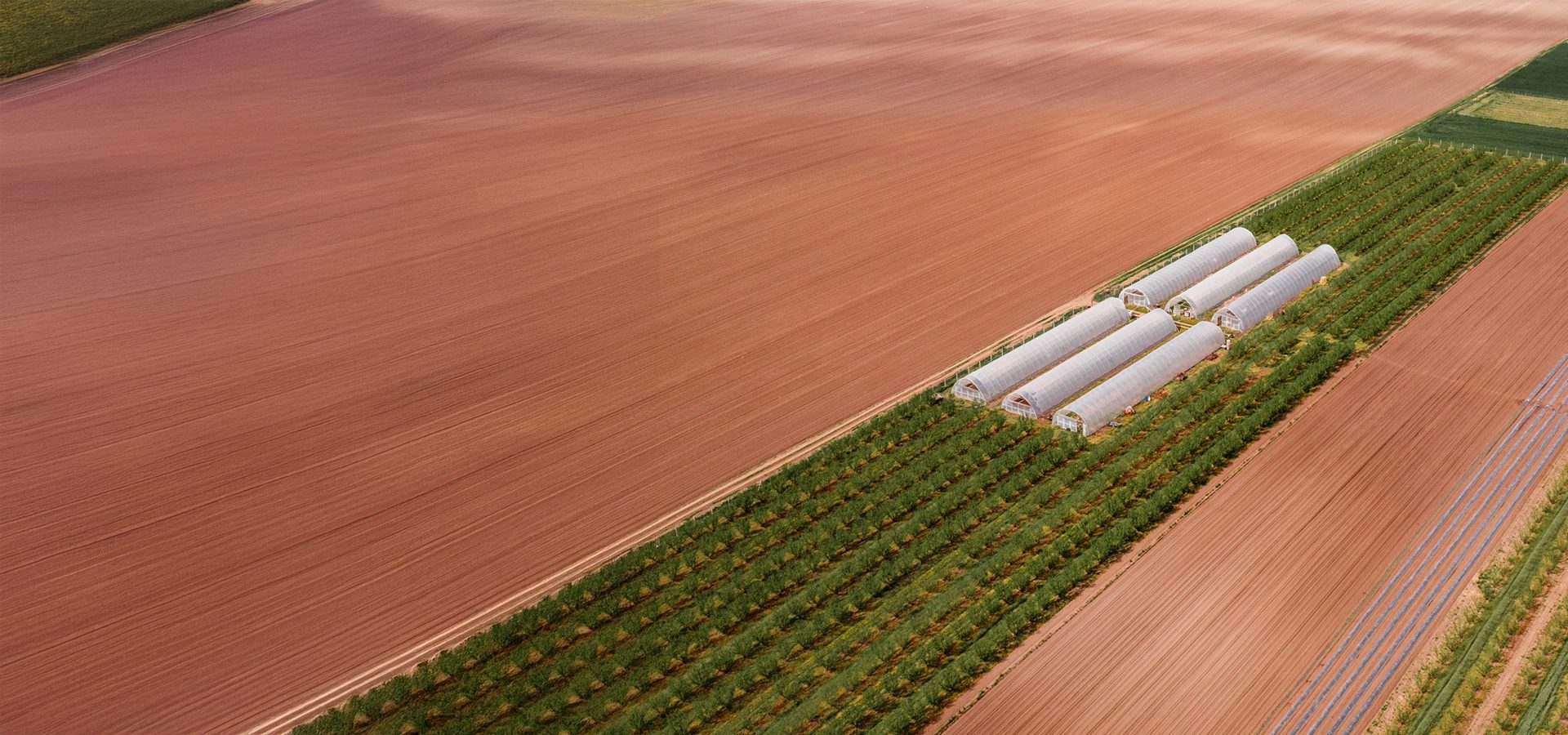 An aerial view showing vast reddish-brown plowed fields bordering a strip of green crops and white polytunnels.
