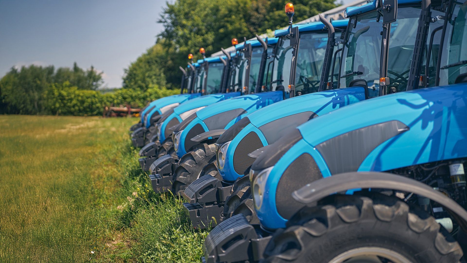 A line of bright blue agricultural tractors parked in a grassy field.