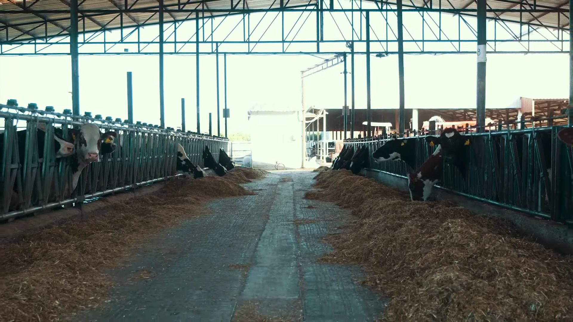 Composite material, Metal, Iron