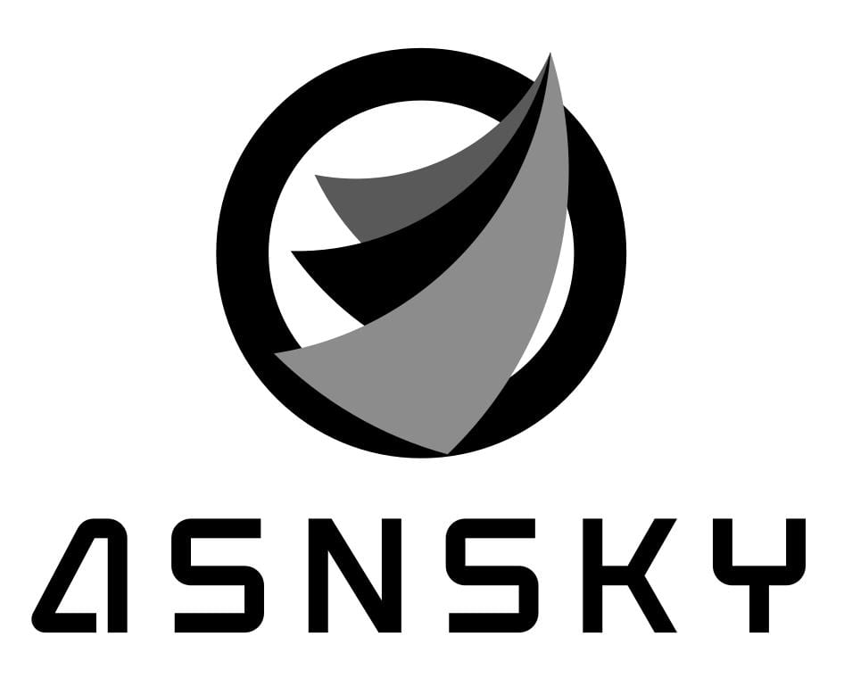 Black circular logo with swirling gray and black shapes inside, and the word "ASNSKY" in block letters below.