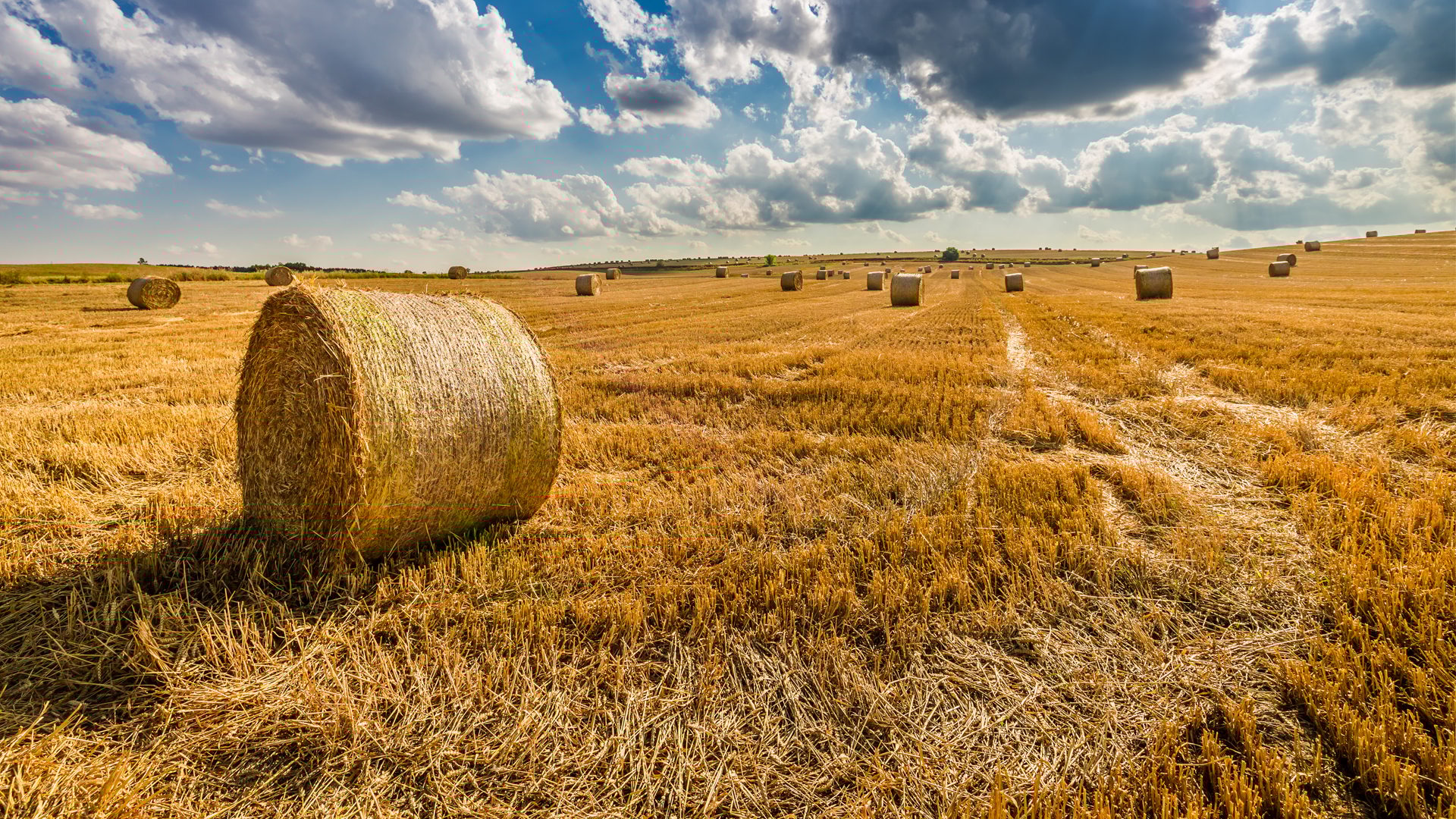 Harvested field with golden hay bales under a dramatic cloudy sky.