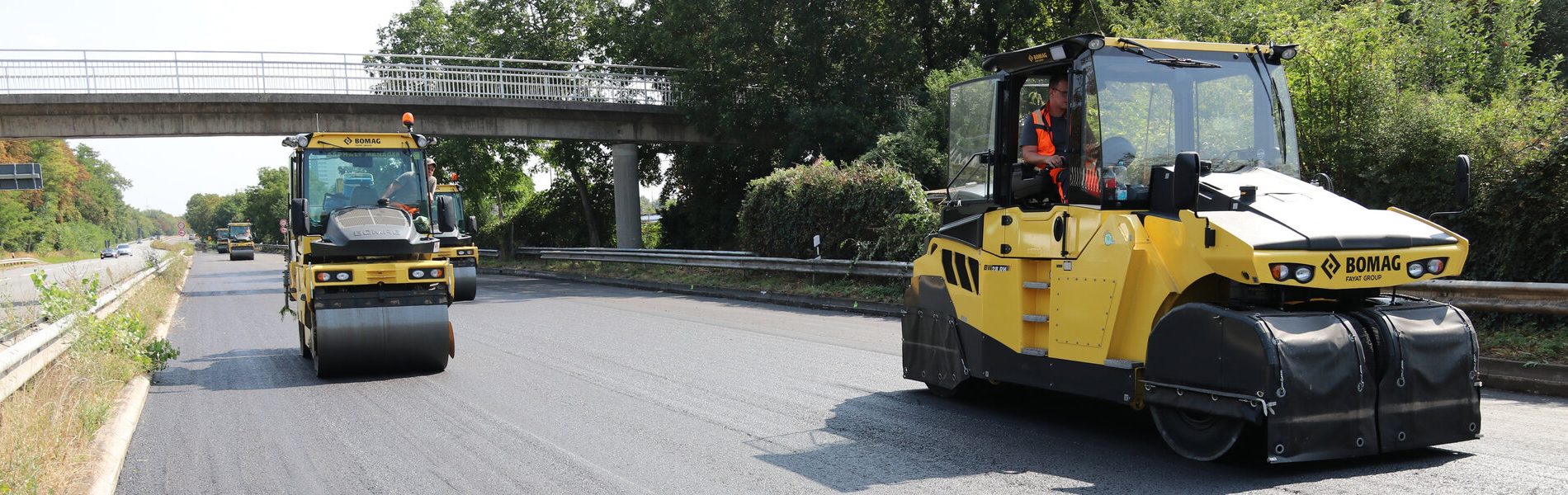 Road surface, Automotive tire, Motor vehicle, Plant, Tree, Wheel, Asphalt, Rolling
