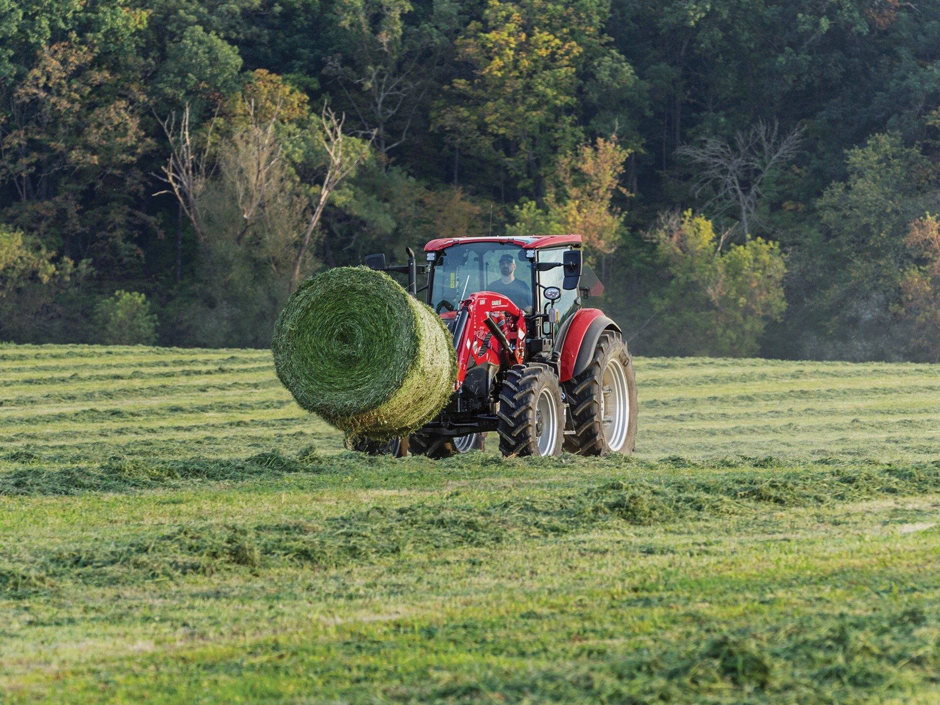 Agricultural machinery, Land vehicle, Automotive Tire, Tractor, Wheel, Grass, Grassland, Field, Agriculture, Farmworker
